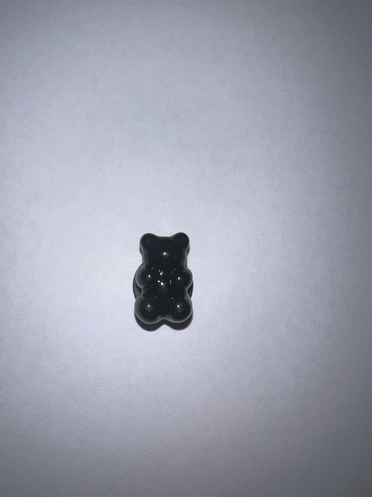 Small Black Bear